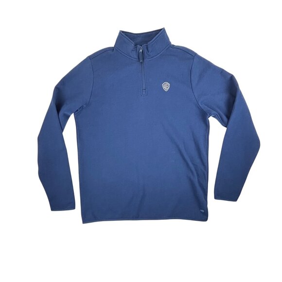 Sportiqe Other - Warner Bros Logo Sweatshirt Mens Size XXL Blue Quarter-Zip Pullover